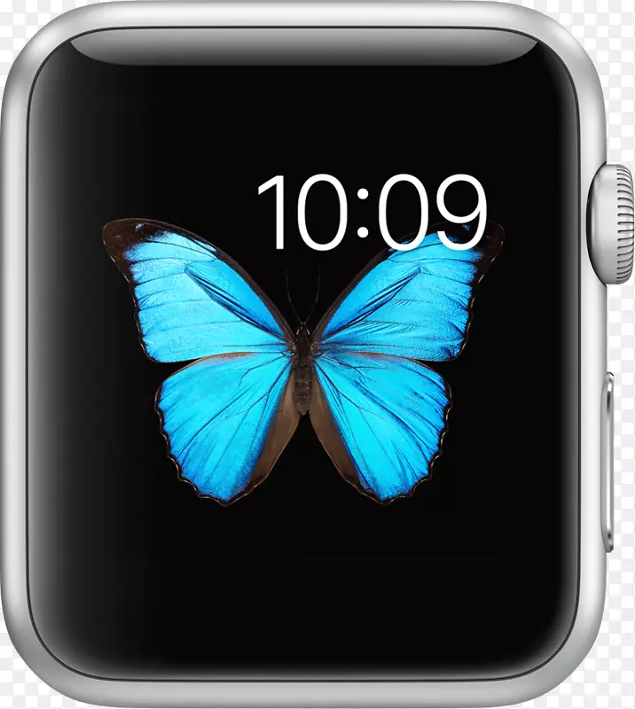 苹果手表系列1苹果外壳材料：不锈钢材料(表带)：L.-苹果手表夹