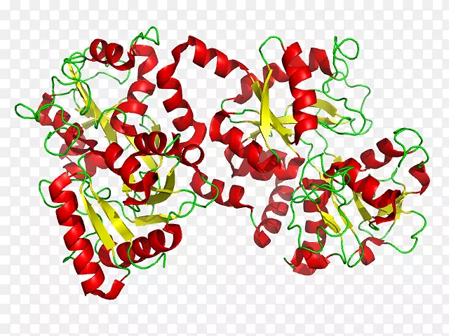 乳铁蛋白糖蛋白转铁蛋白细胞转铁蛋白