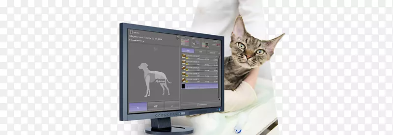 数字射线照相计算机X线摄影医学兽医