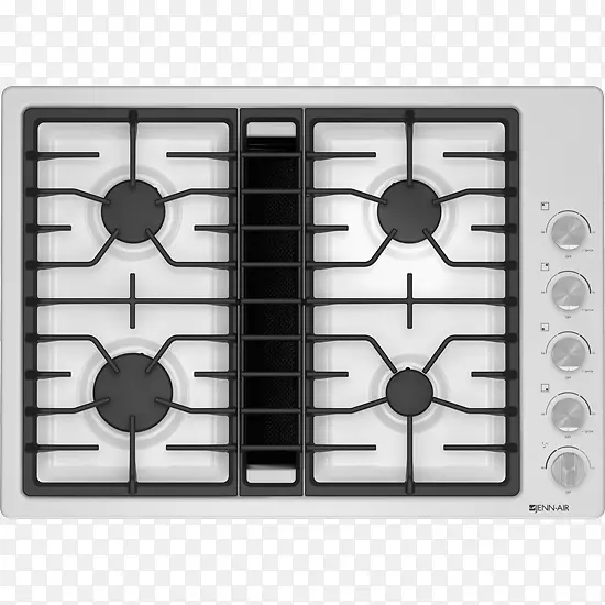 烹调范围：煤气炉，家用电器，詹-空气感应蒸煮-煤气炉