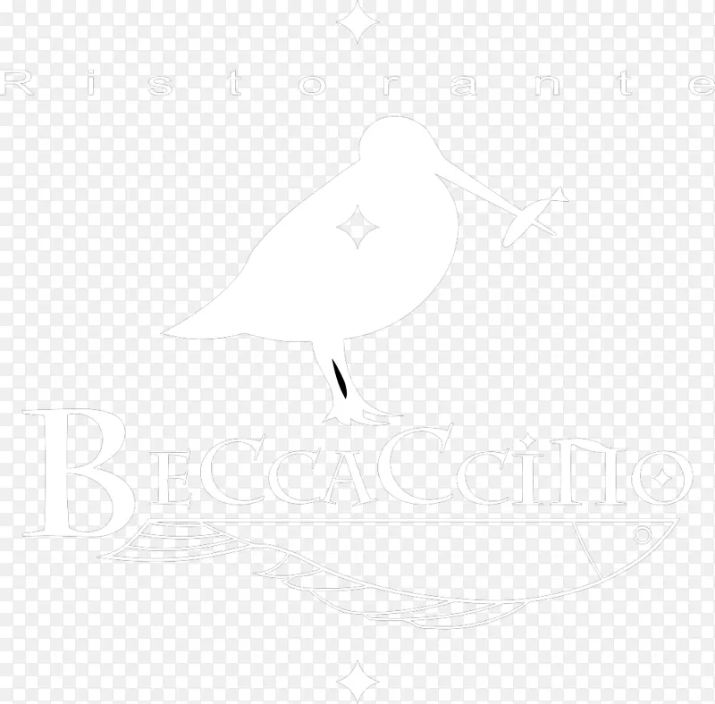 白色图案