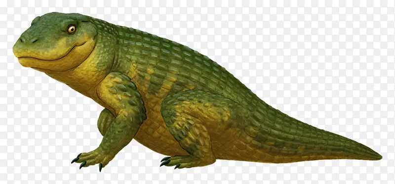 晚白垩世鳄鱼形态鳄鱼恐龙晚白垩世