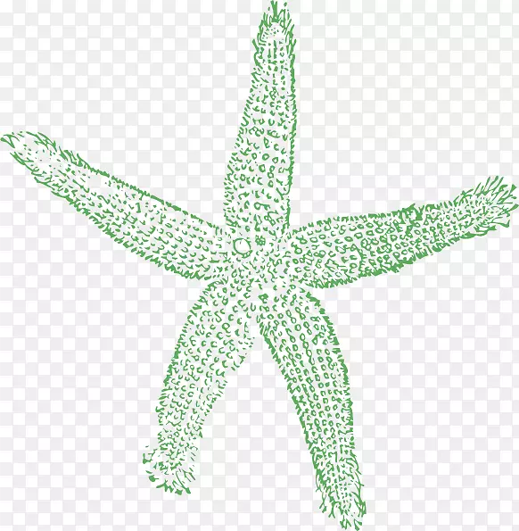 海星版税-免费剪贴画-绿松石海星