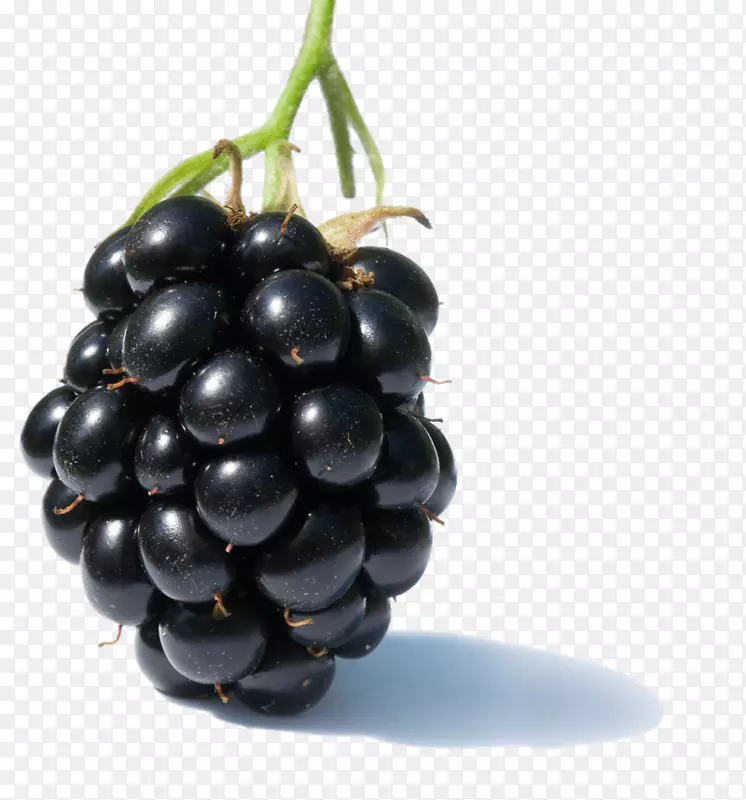 黑莓覆盆子食物