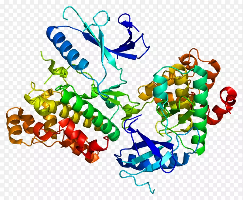 单胺氧化酶b单胺类神经递质单胺氧化酶抑制剂多巴胺