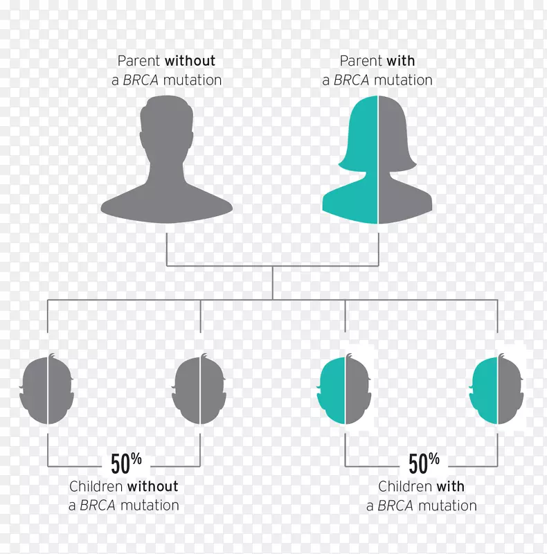 BRCA 1基因突变BRCA 2基因检测-父子