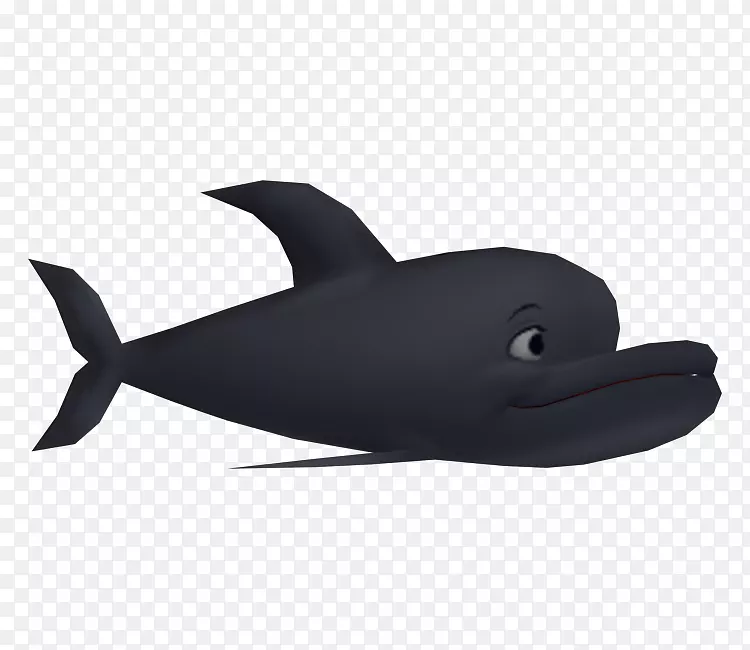 海豚海洋生物学-海豚
