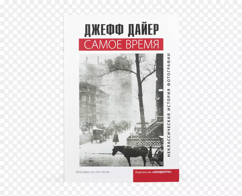 正在进行的时刻我的书.by-книжныймагазин，ТЦКупаловский，пав.7文学摄影-书