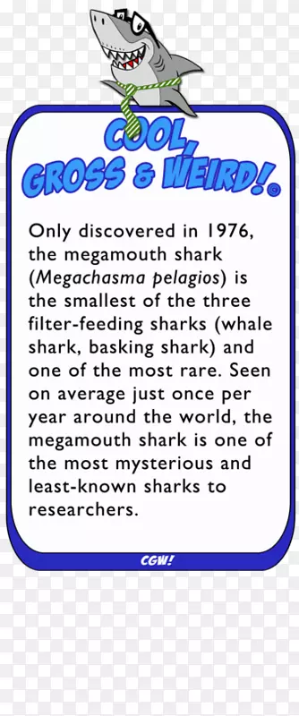 关于鲨鱼的一切：世界上最被误解的捕食者动物的完整指南