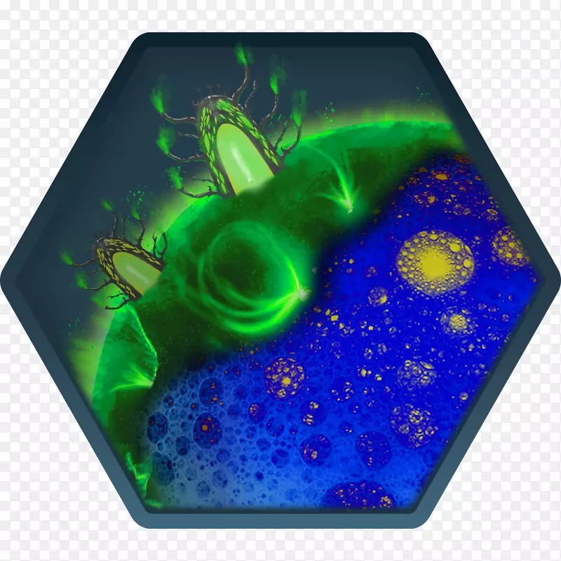 生物蓝绿细菌共生绿硫细菌