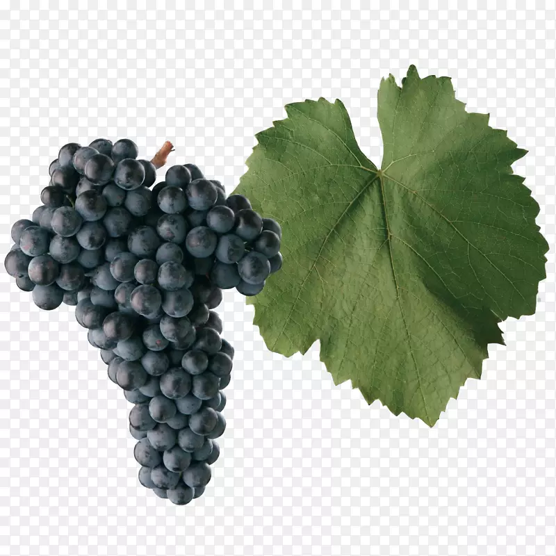 弗兰基什和亨尼卡葡萄品种blaufr nKisch gouais淡色葡萄酒-葡萄