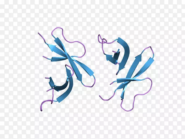 蝴蝶桌面壁纸夹艺术.分子生物学