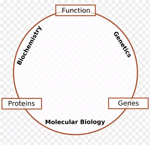 分子生物学、遗传学、细胞生物学、分子生物学