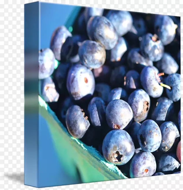 蓝莓越橘食物杜松子-蓝莓