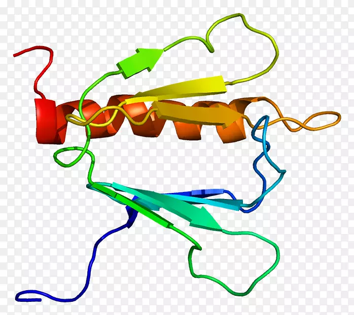 转录因子Ⅱh gtf2h1蛋白复合物基因