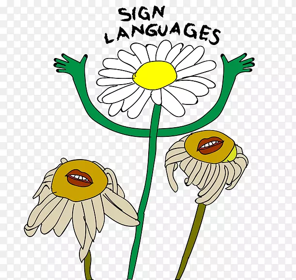 语言花卉设计英语口语