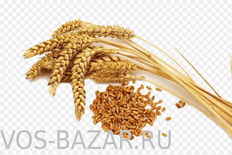 普通小麦有机食品谷类面粉-面粉