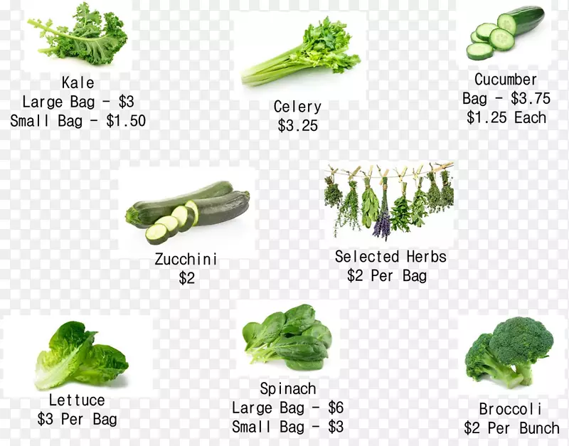 绿叶蔬菜超级食品-花椰菜芽菜(Iherb Douchegordijn)