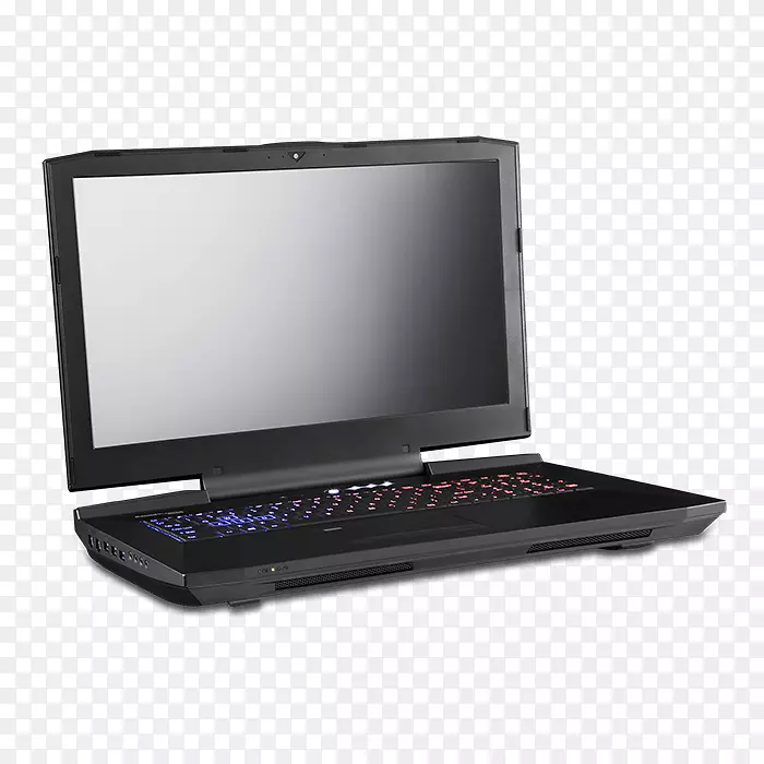 手提电脑上网本英特尔显示装置个人电脑手提电脑