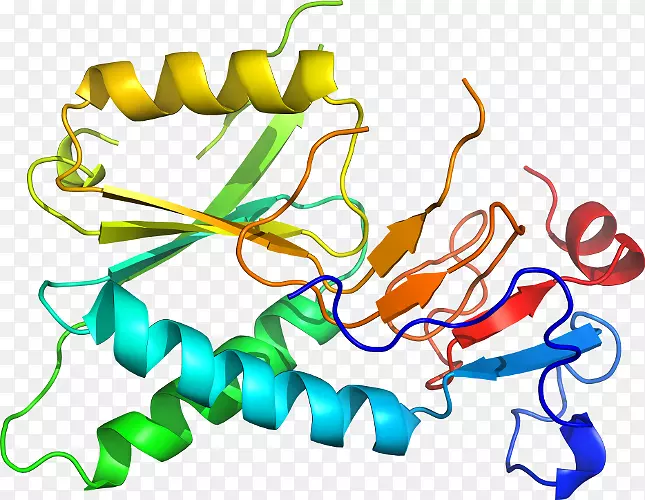 线点生物剪贴画线
