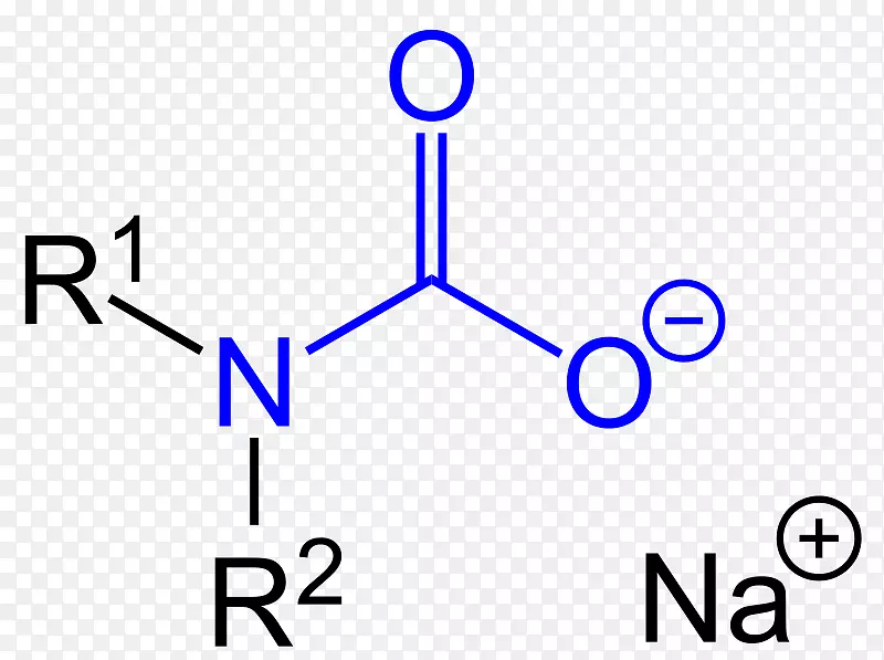 甲基分子乙酰胆碱化学酸氨基甲酸酯