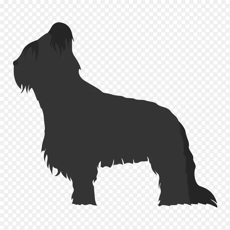 苏格兰小猎犬非体育团体犬种(狗)