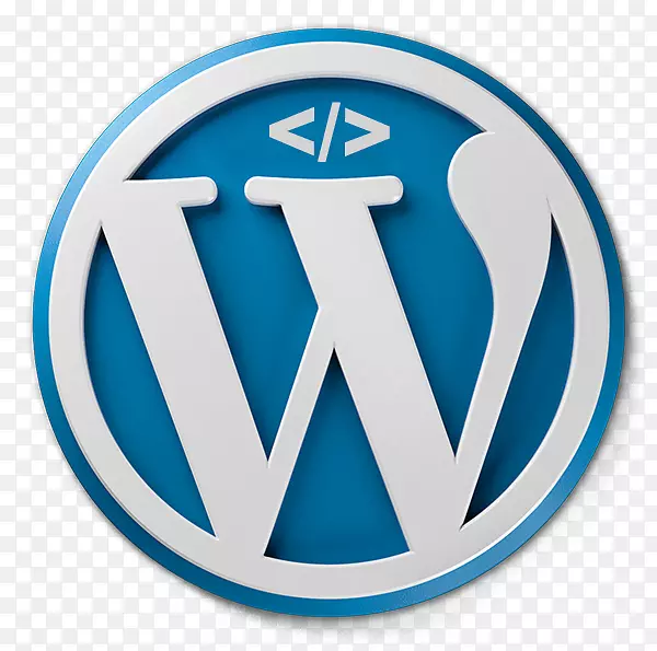 Web开发WordPress徽标计算机图标-web服务