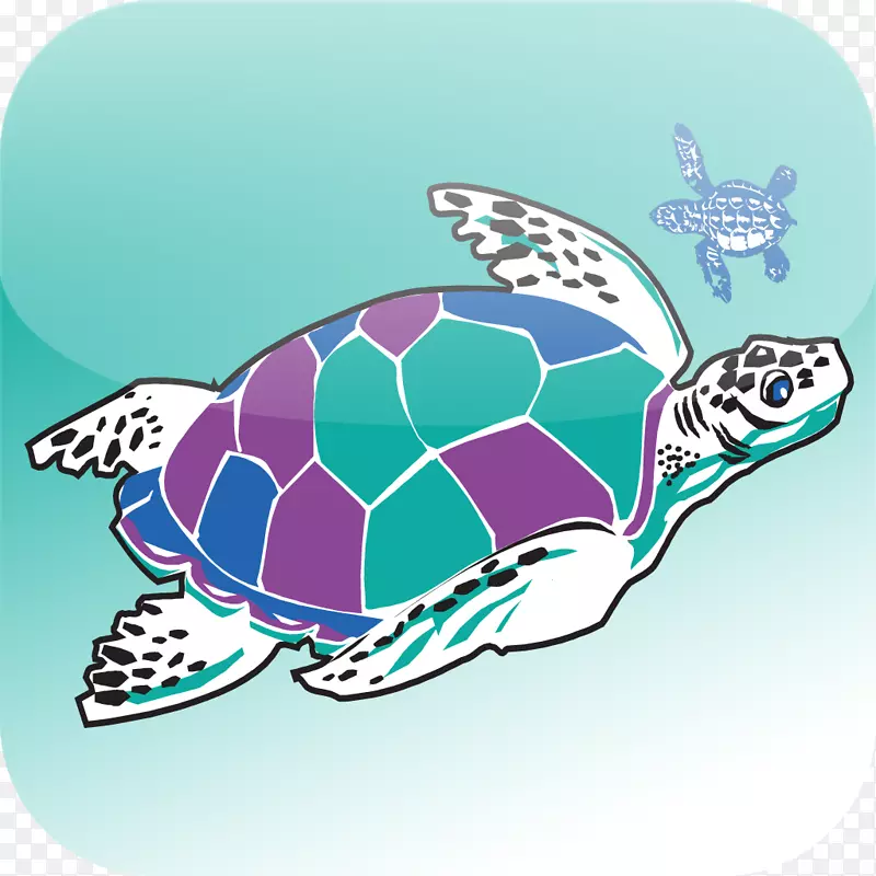 海龟逃亡海龟公司-海龟