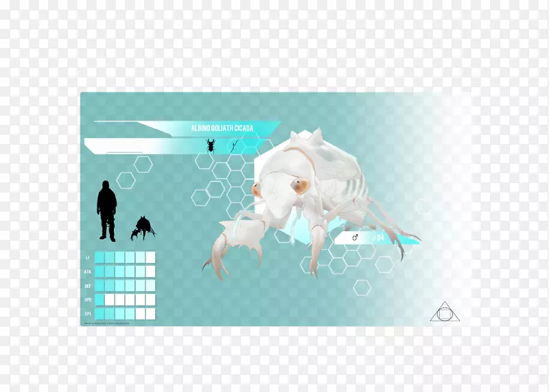 海洋生物，海洋，桌面壁纸，水-水