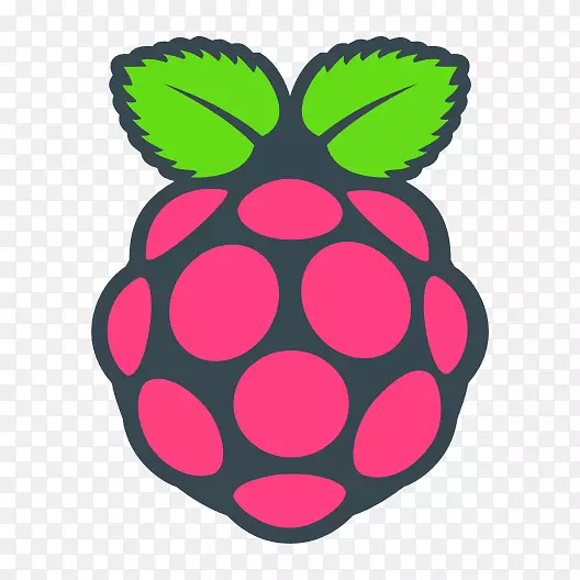 raspberry pi基金会计算机Raspbian Arduino-Computer