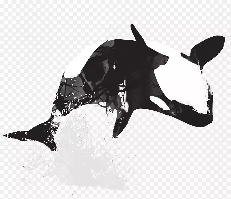 虎鲸甲壳动物艺术绘图设计