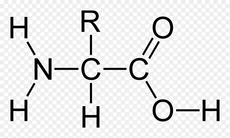 乙酸-氨基酸-碱反应-其它反应