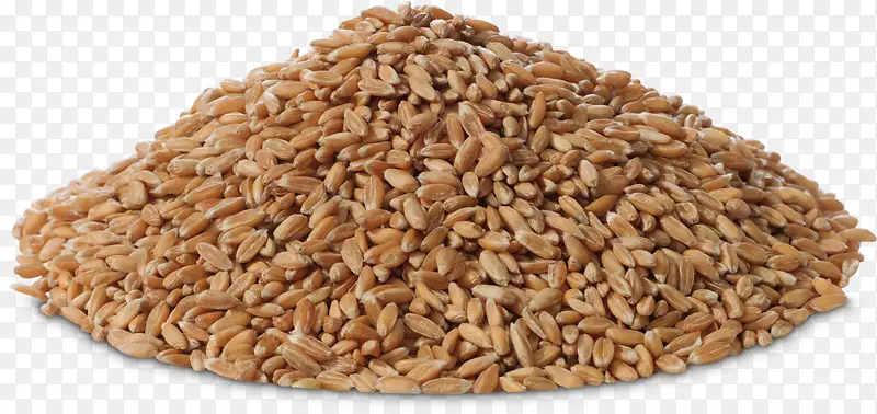 燕麦麦芽全麦