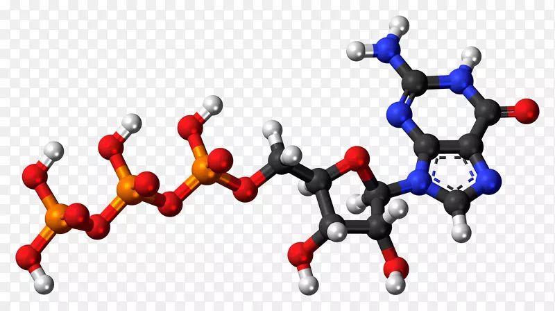 一磷酸尿苷-脱氧鸟苷、二磷酸尿苷、三磷酸尿苷
