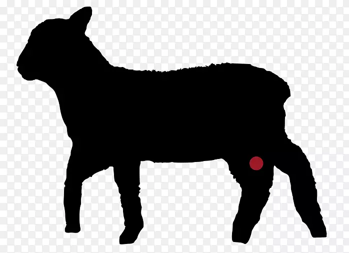 牛，羊肉，牛排-绵羊