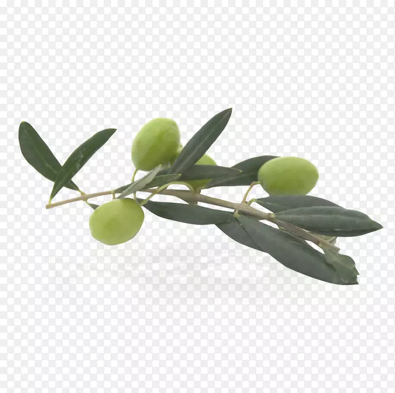 橄榄油食品-橄榄