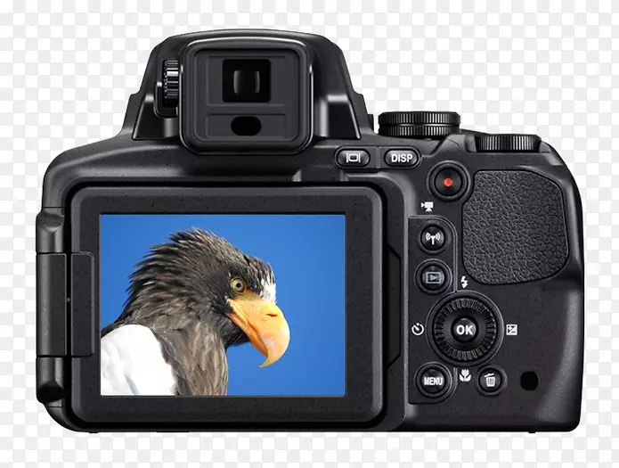 数码相机桥式摄像机尼康83x光学变焦相机