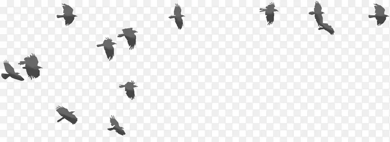鸟类迁徙线白色字体-伦敦塔