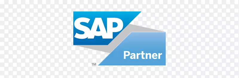 SAP se sap erp企业资源规划计算机软件sap s/4 hana-Business