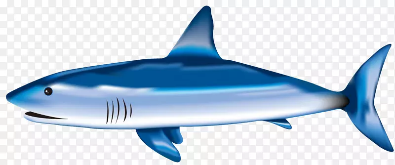 虎鲨大白鲨蓝鱼翅汤-鲨鱼