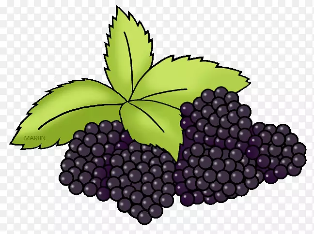 葡萄叶食品水浸-葡萄