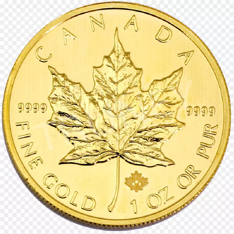 澳大利亚金币