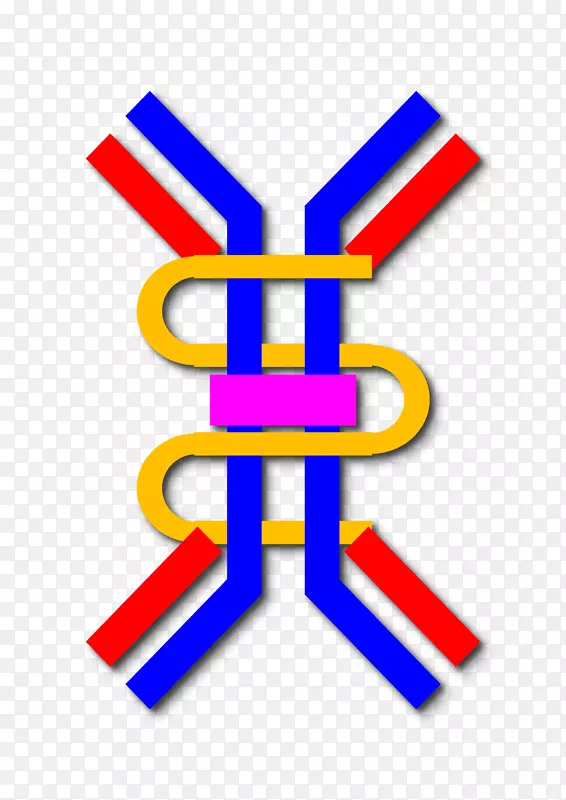 免疫球蛋白a抗体免疫球蛋白g分泌成分IgA肾病