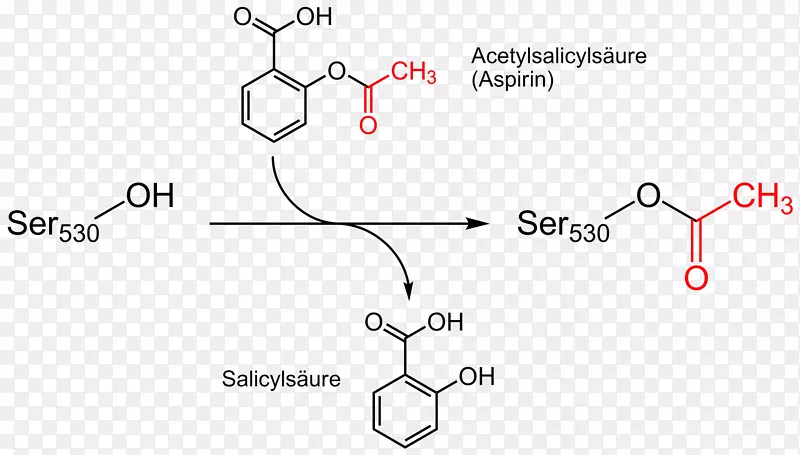 阿司匹林作用机理乙酰化花生四烯酸水杨酸