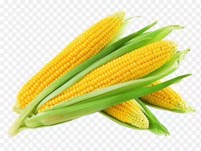 玉米对玉米芯玉米仁甜玉米芯印度