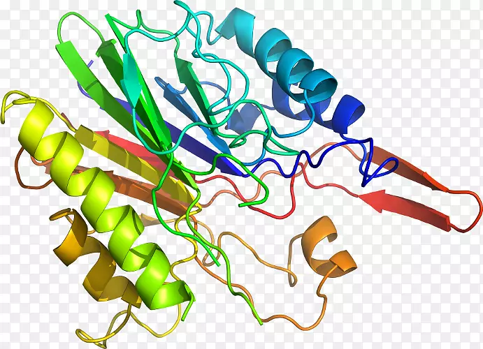 蛋白质结构预测计算机软件BLAST