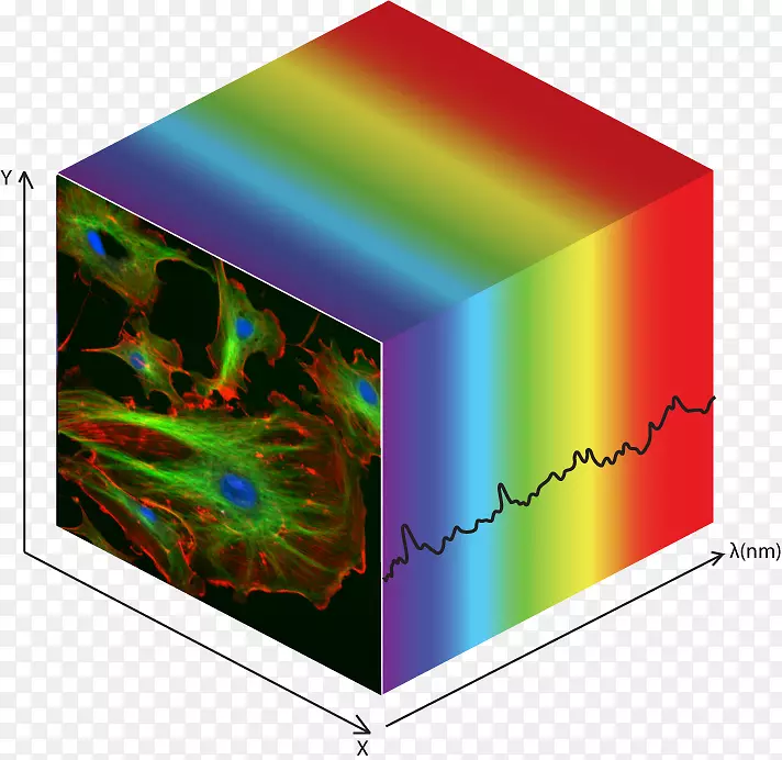 高光谱成像数据、立方体、光子等。市场分析多光谱影像
