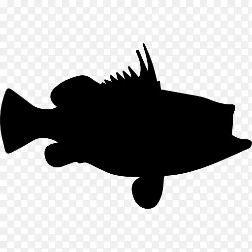 鱼鲈鱼电脑图标剪贴画-鱼