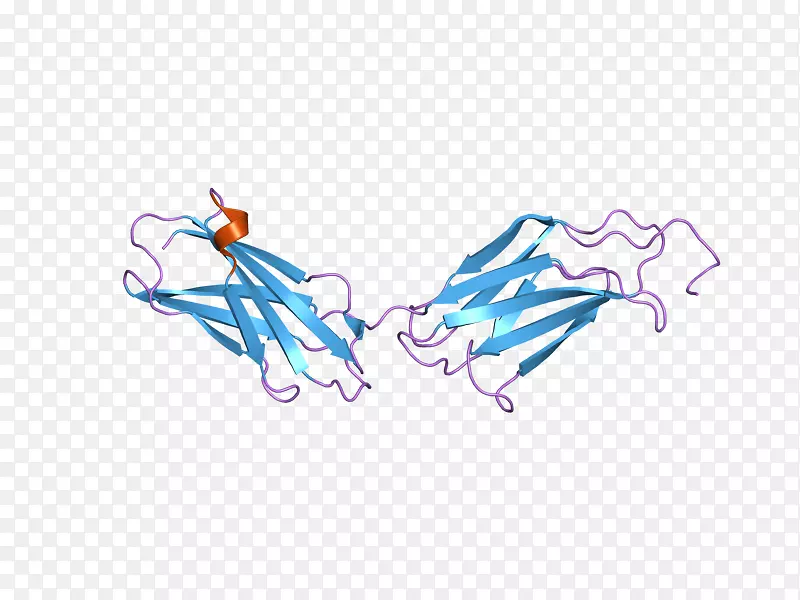 纤维连接蛋白整合素糖蛋白细胞外基质纤维连接蛋白