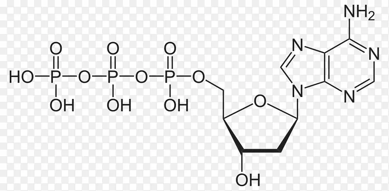 烟酰胺腺嘌呤二核苷酸磷酸腺苷分子